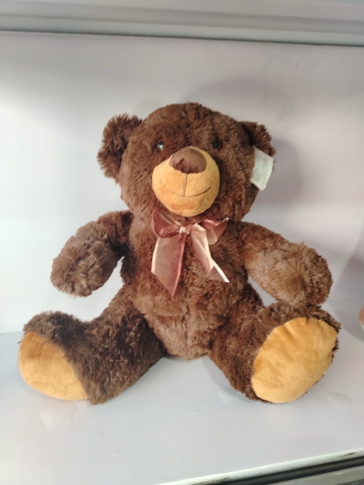 PELUCHE OSO CAFE